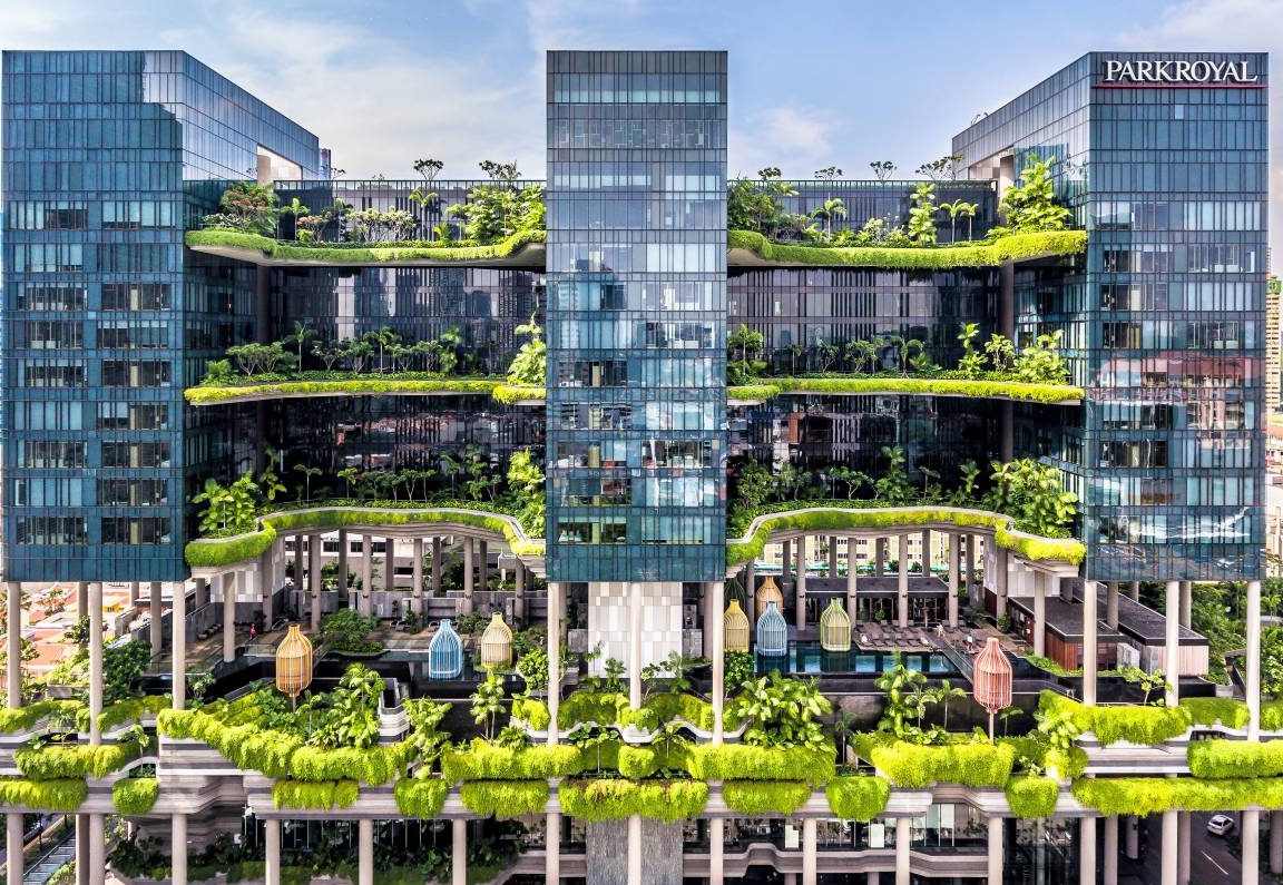 Giardini pensili per città più verdi e sostenibili